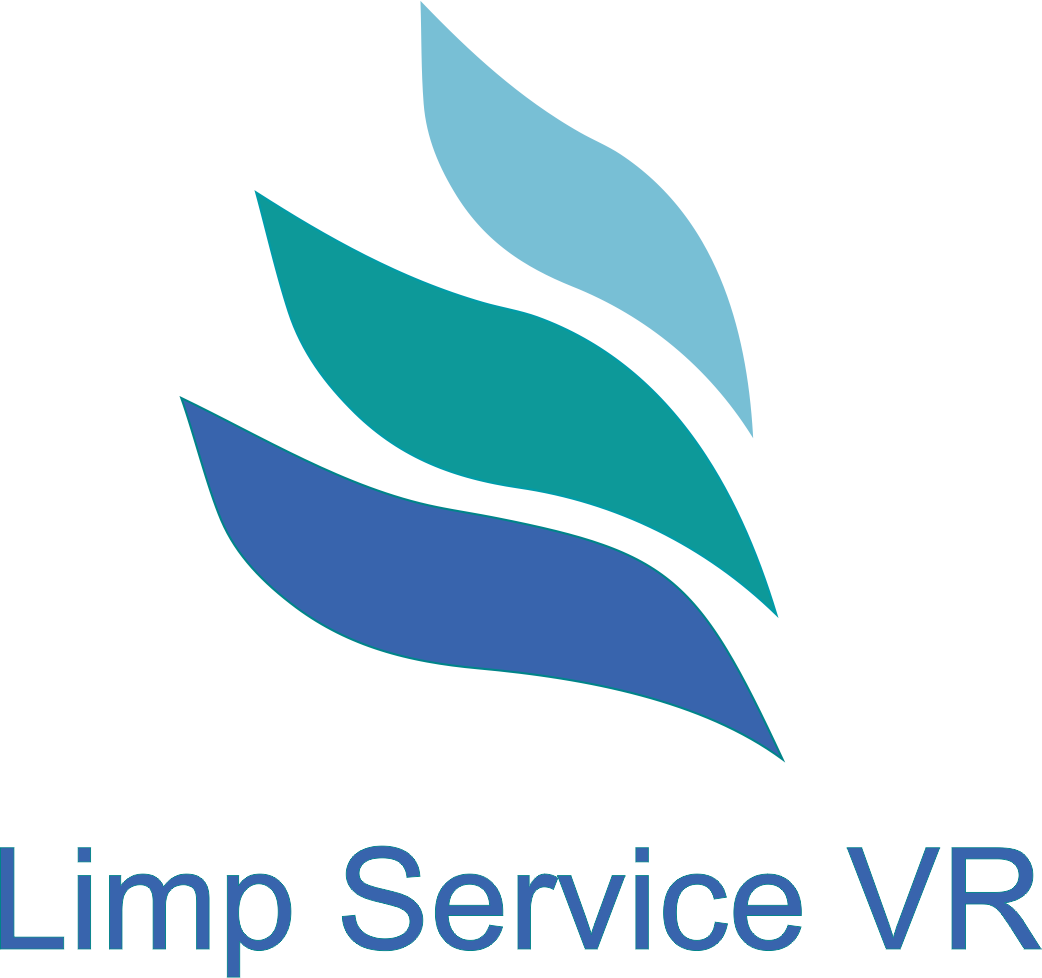 Logotipo Limp Service VR empresa de limpeza em volta redonda